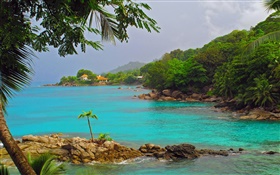 Côte, mer, arbres, maisons, des Iles Seychelles