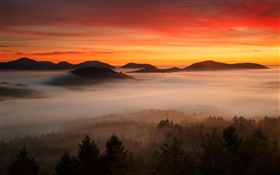 Aube, montagnes, forêts, nuages, ciel rouge, brouillard HD Fonds d'écran