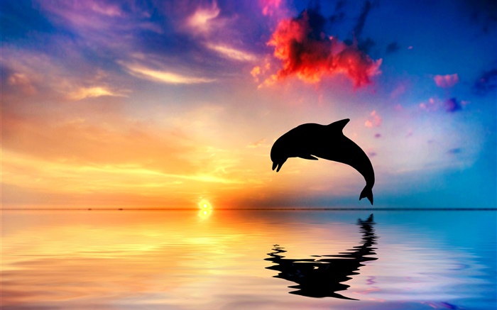 Saut du dauphin, silhouette, océan, réflexion de l'eau, coucher de soleil Fonds d'écran, image