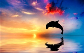 Saut du dauphin, silhouette, océan, réflexion de l'eau, coucher de soleil