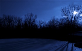 Lac de Pâques, arbres, nuit, lune, Des Moines, Iowa, États-Unis