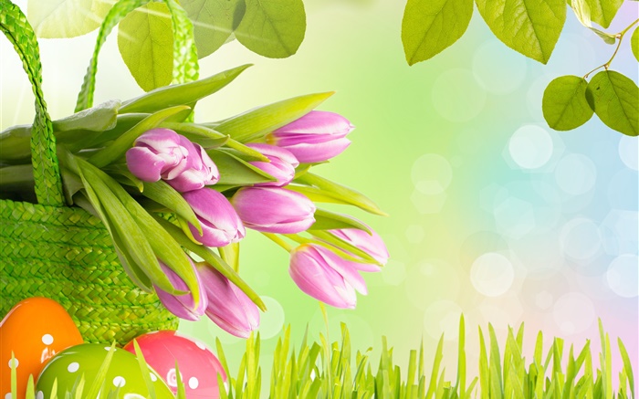 Fleurs, tulipes pourpres, herbe, au printemps, les oeufs de Pâques, Fonds d'écran, image