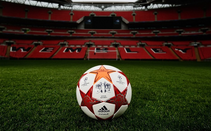 Football, Ligue des Champions, terrain en herbe, stade, Wembley Fonds d'écran, image