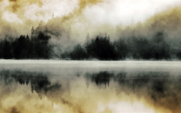Forêt, lac, brume, aube, réflexion de l'eau Fonds d'écran, image