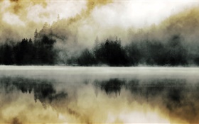 Forêt, lac, brume, aube, réflexion de l'eau