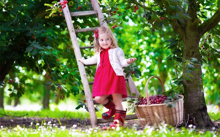 Little girl cueillette des cerises, enfant, arbre, jardin Fonds d'écran, image