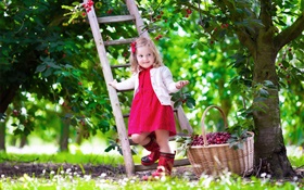 Little girl cueillette des cerises, enfant, arbre, jardin
