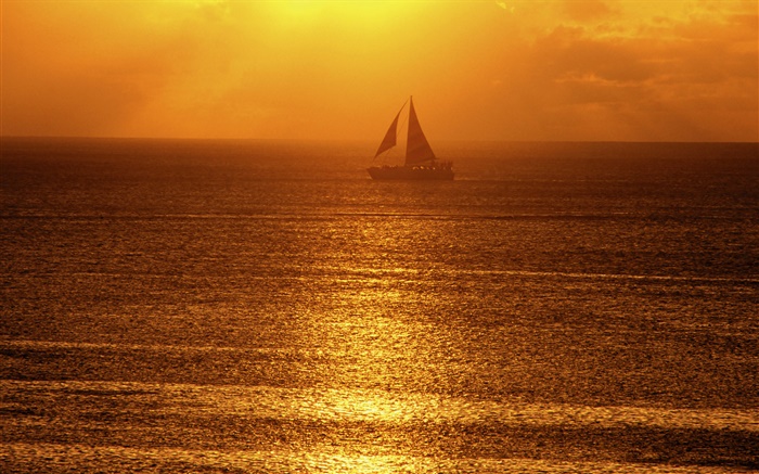 Matin, brouillard, mer, bateau, les rayons du soleil Fonds d'écran, image