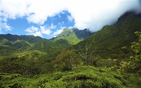 Montagnes, vallées, Îles Hawaï HD Fonds d'écran