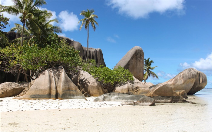 Seychelles Island, sur la plage, des pierres, des palmiers Fonds d'écran, image