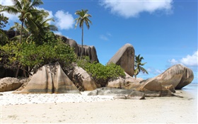 Seychelles Island, sur la plage, des pierres, des palmiers HD Fonds d'écran
