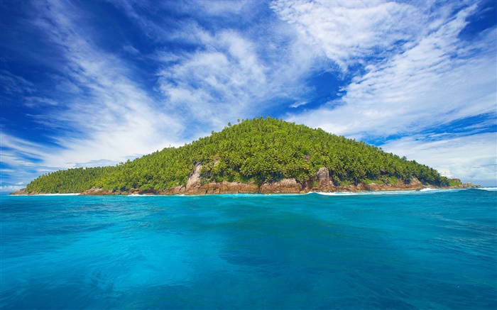 Seychelles Island, petite île, arbres, mer Fonds d'écran, image