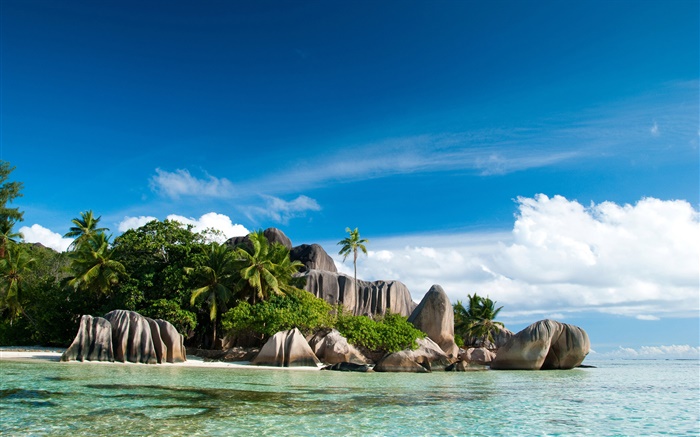 Îles Seychelles, mer, côte, des pierres, des palmiers, des nuages Fonds d'écran, image