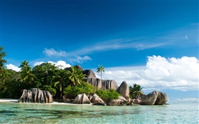 Îles Seychelles, mer, côte, des pierres, des palmiers, des nuages HD Fonds d'écran