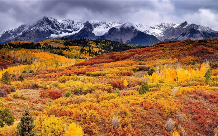 pente, montagnes, arbres, automne, nuages Fonds d'écran, image