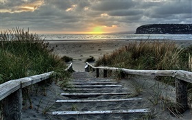Lever du soleil, des escaliers, sur la côte, Austrivage, Christchurch, Nouvelle-Zélande HD Fonds d'écran