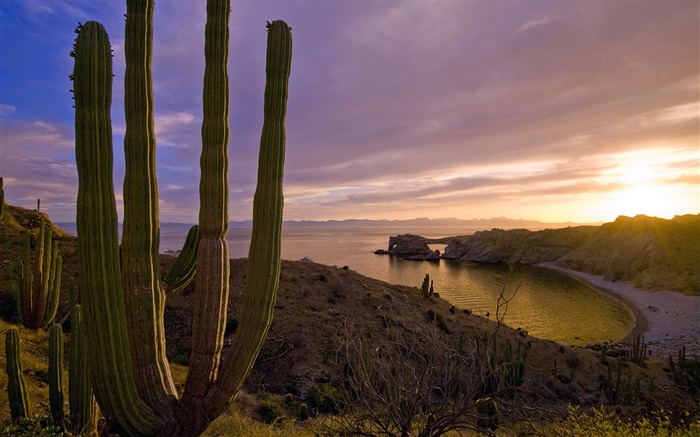 Coucher de soleil, collines, mer, l'île de Santa Catalina, en Californie, États-Unis Fonds d'écran, image
