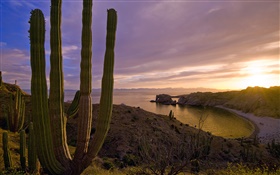 Coucher de soleil, collines, mer, l'île de Santa Catalina, en Californie, États-Unis