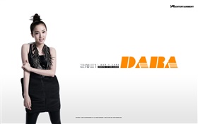 2NE1, les filles de la musique coréenne 13 HD Fonds d'écran