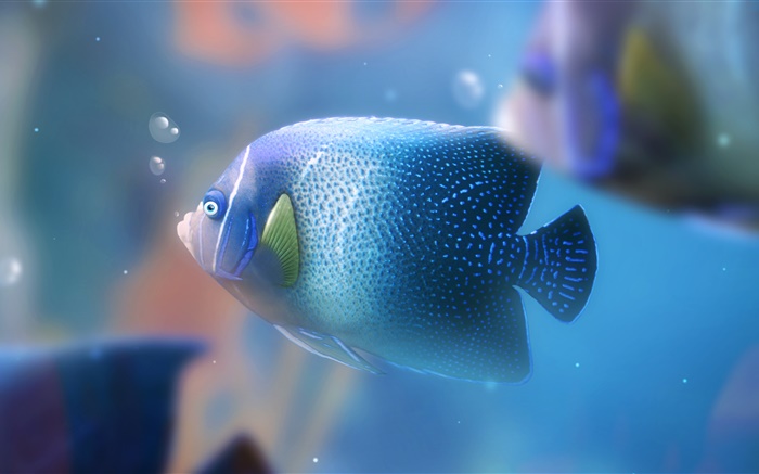 Bleu poissons d'aquarium close-up Fonds d'écran, image