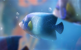 Bleu poissons d'aquarium close-up HD Fonds d'écran