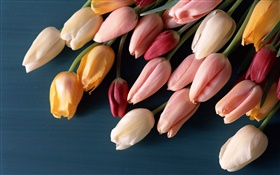 Fleurs en herbe, tulipes HD Fonds d'écran