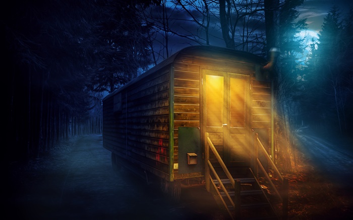 Forêt, la nuit, la pleine lune, maison en bois, lumières Fonds d'écran, image