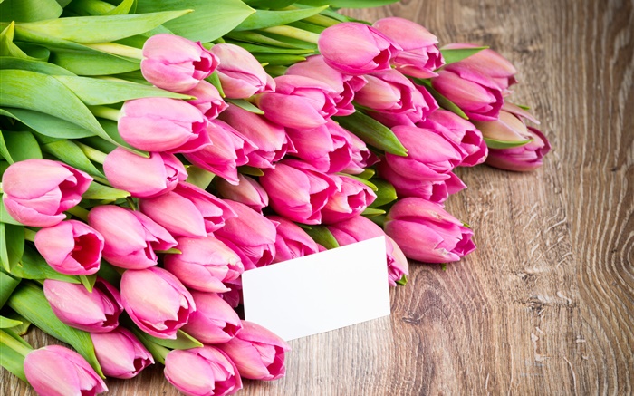 Des tulipes roses, fleurs bouquet Fonds d'écran, image