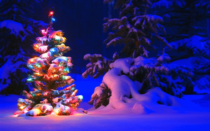 Neige, lumières, arbres, hiver, nuit, Noël Fonds d'écran, image