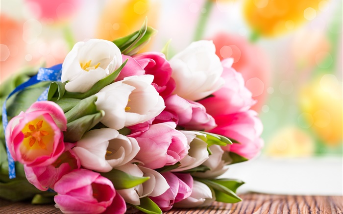 Printemps, tulipes, fleurs, blanc, rose Fonds d'écran, image