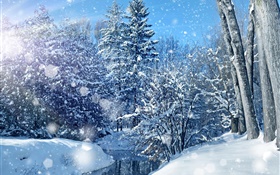 Hiver, forêt, arbres, rivière, neige épaisse HD Fonds d'écran
