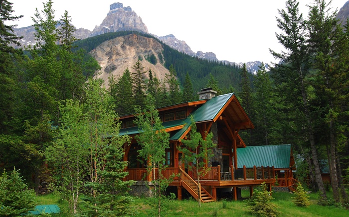 Alberta, Canada, villa, maison, forêt, arbres, montagnes Fonds d'écran, image