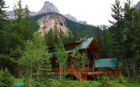 Alberta, Canada, villa, maison, forêt, arbres, montagnes HD Fonds d'écran