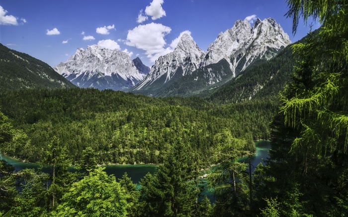 Alpes, Bavière, Allemagne, montagnes, forêt, rivière Fonds d'écran, image