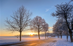 Allemagne, hiver, neige, arbres, route, maison, coucher de soleil