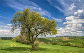 Italie, la nature des paysages, collines, champs, maison, arbre, printemps