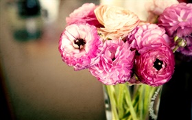 Fleurs roses, renoncules, vase