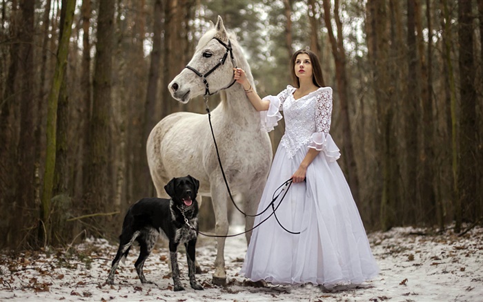 Style rétro, robe blanche fille, cheval, chien, forêt Fonds d'écran, image