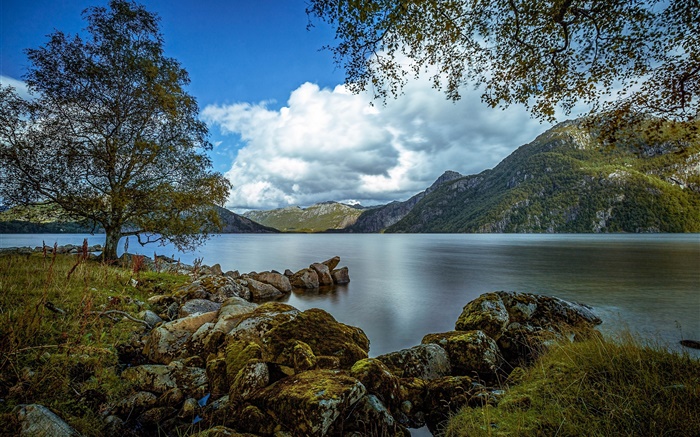 Rogaland, Norvège, lac, montagnes, arbres, rochers, nuages Fonds d'écran, image