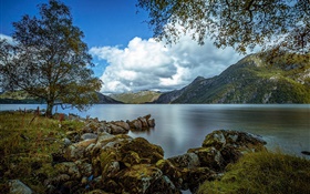 Rogaland, Norvège, lac, montagnes, arbres, rochers, nuages HD Fonds d'écran