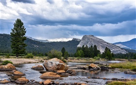 Californie, Parc national de Yosemite, forêt, montagnes, nuages, rochers