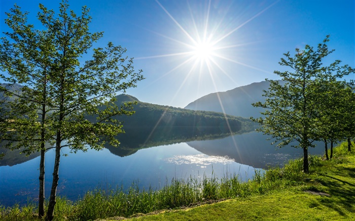 Vigesaa, Rogaland, Norvège, lac, les arbres, la lumière du soleil Fonds d'écran, image
