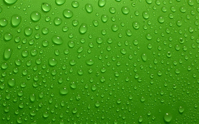 Les gouttes d'eau, fond vert Fonds d'écran, image