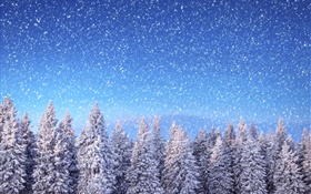 Hiver, épinettes, ciel bleu, flocons de neige, neige HD Fonds d'écran