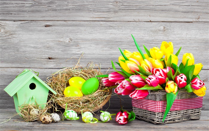 Pâques, oeufs colorés, tulipes fleurs Fonds d'écran, image