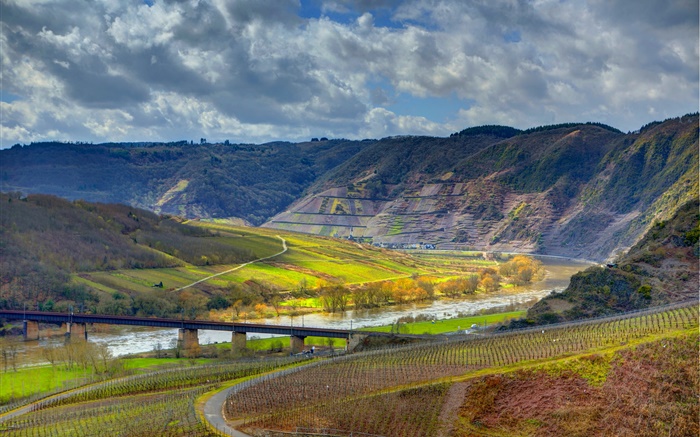 Ediger-Eller, Allemagne, montagnes, rivière, pont, vignoble Fonds d'écran, image