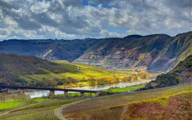 Ediger-Eller, Allemagne, montagnes, rivière, pont, vignoble HD Fonds d'écran