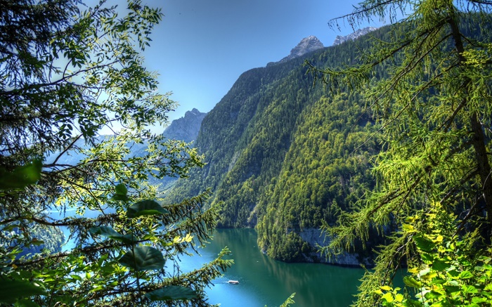 Allemagne, Bavière, montagnes, forêts, arbres, rivière Fonds d'écran, image