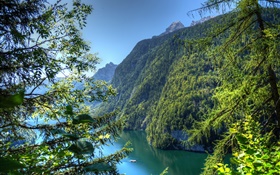 Allemagne, Bavière, montagnes, forêts, arbres, rivière HD Fonds d'écran