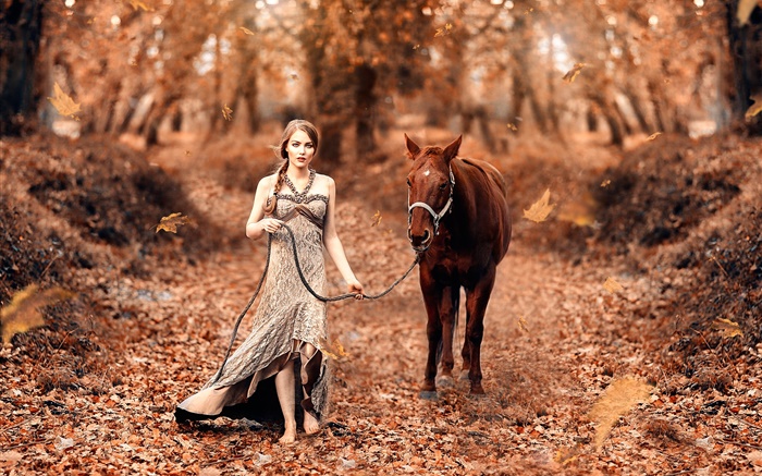 Fille et le cheval, l'automne, les feuilles jaunes Fonds d'écran, image